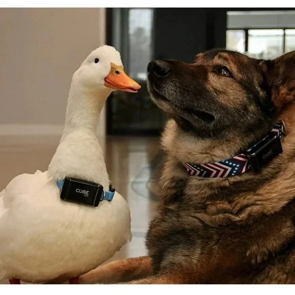 BNIB Cube Vehicle and Pet GPS Tracker C7004 - Picture 7 of 12